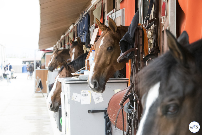 Photo © Jenny Abrahamsson for World of Showjumping