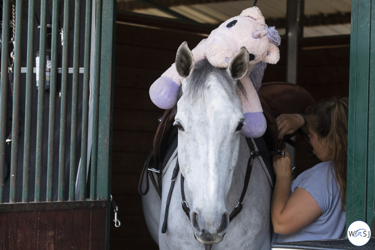 Photo © Jenny Abrahamsson for World of Showjumping