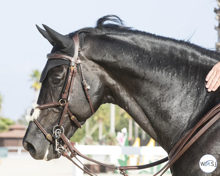 Photo © Jenny Abrahamsson for World of Showjumping