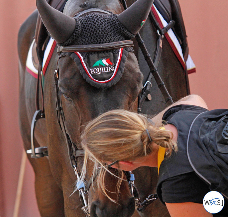 © World of Showjumping