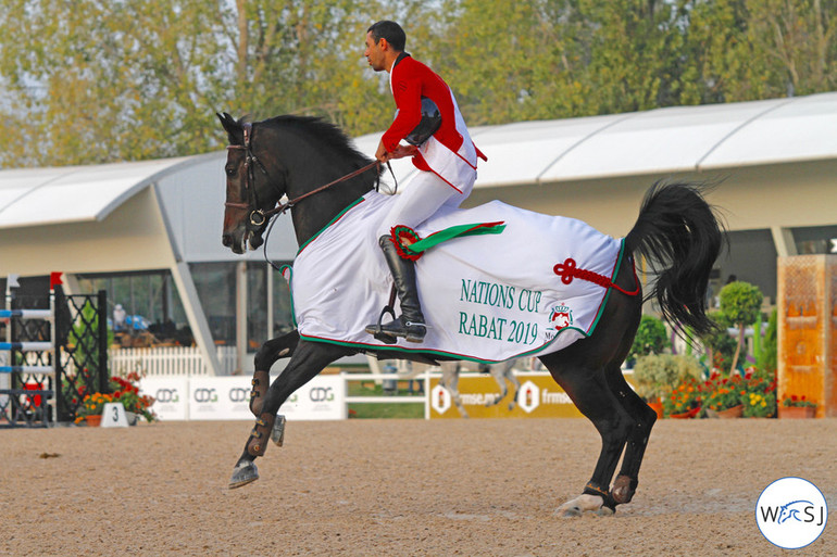 © World of Showjumping