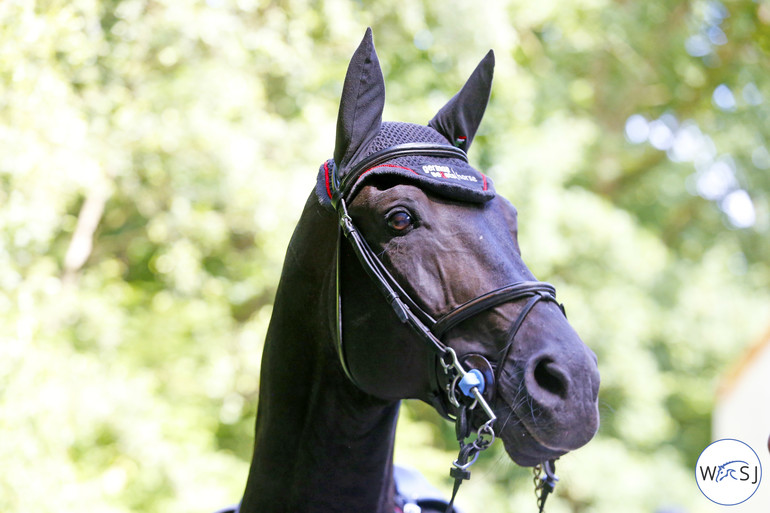 Photo © Jenny Abrahamsson for World of Showjumping. 