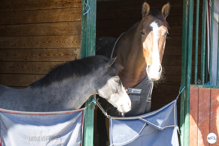 Photo © Jenny Abrahamsson for World of Showjumping. 