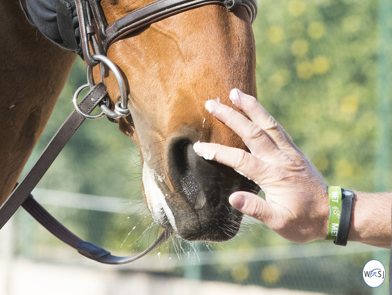 Photo © Jenny Abrahamsson for World of Showjumping. 