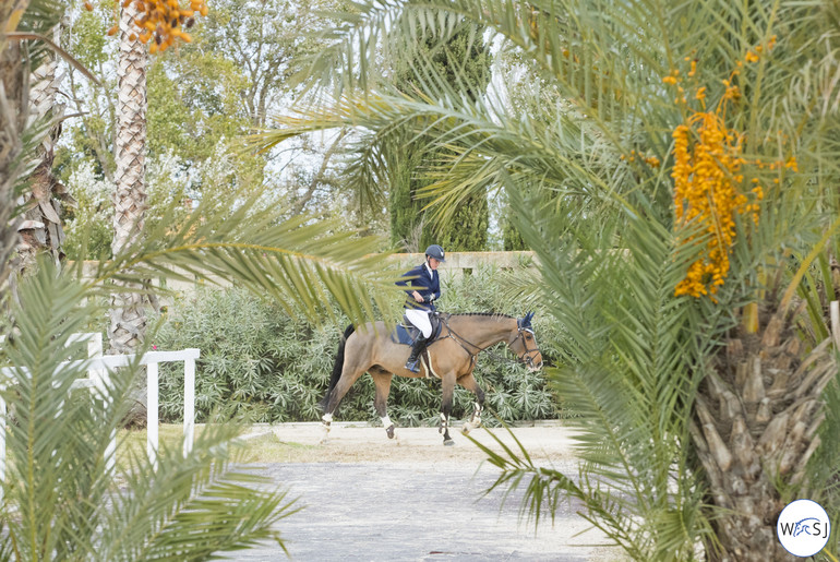 Photo © Jenny Abrahamsson for World of Showjumping. 