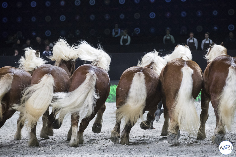 Photo © Jenny Abrahamsson for World of Showjumping.