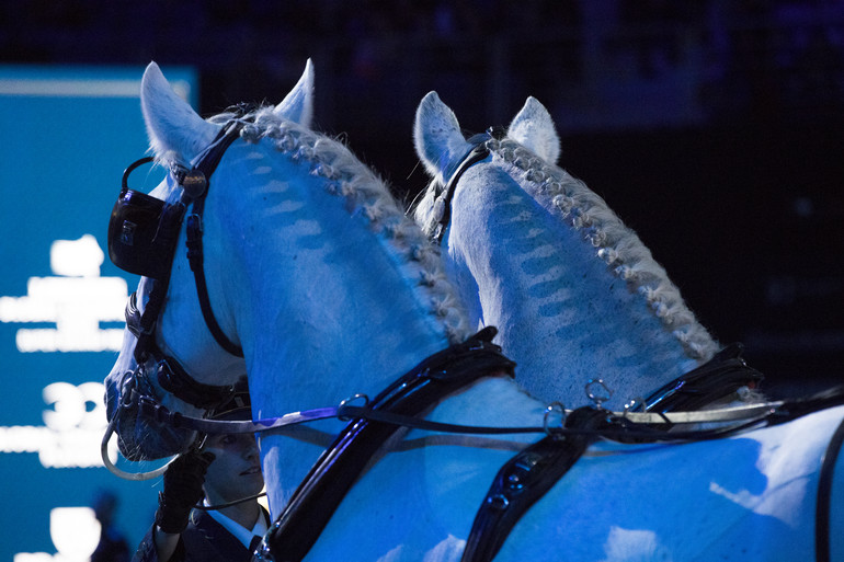 Photo © Jenny Abrahamsson for World of Showjumping.