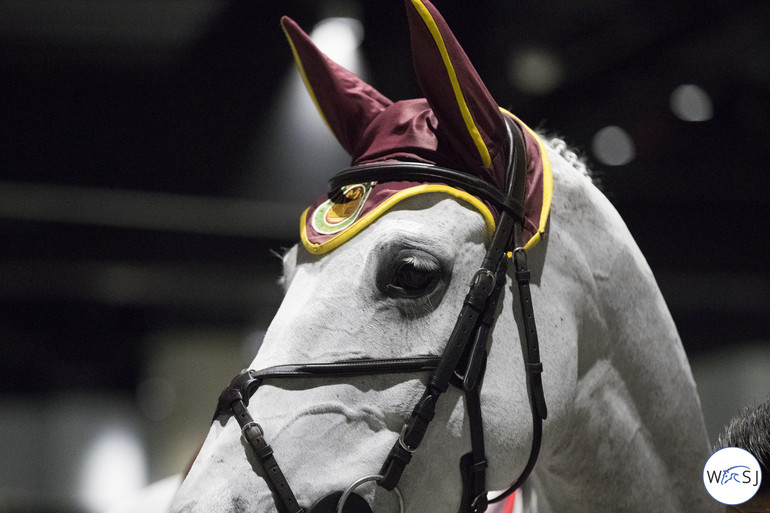 Photo © Jenny Abrahamsson for World of Showjumping.