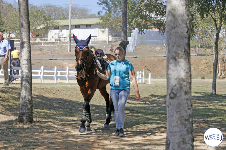 Photo © Jenny Abrahamsson for World of Showjumping. 