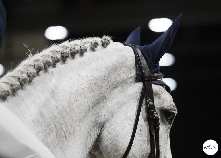 Photo © World of Showjumping