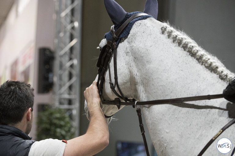 Photo © Jenny Abrahamsson for World of Showjumping. 