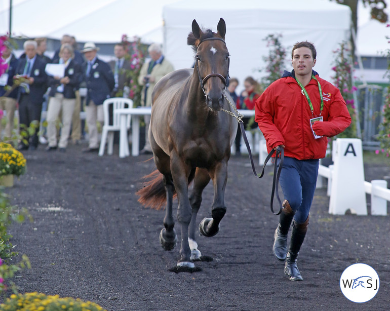 Photo © Jenny Abrahamsson for World of Showjumping.