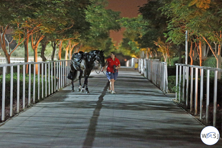 Photo © Jenny Abrahamsson for World of Showjumping. 