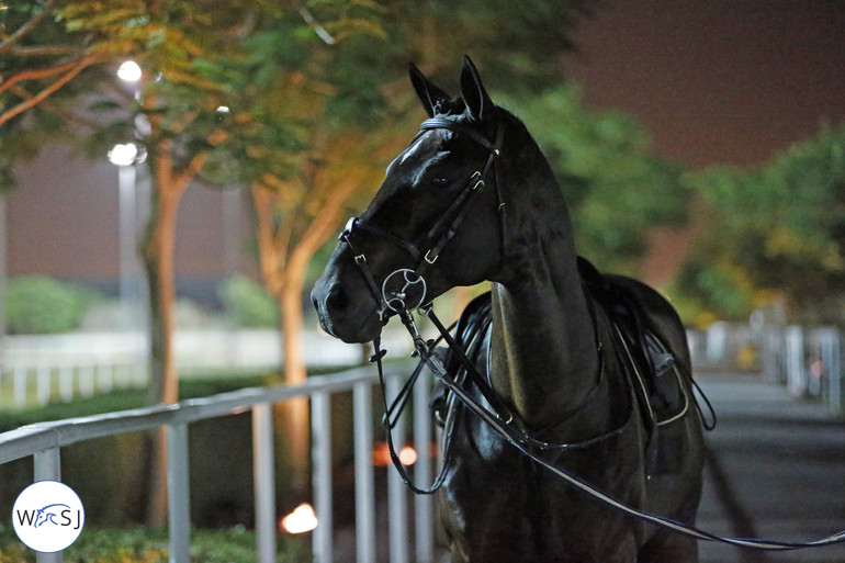 Photo © Jenny Abrahamsson for World of Showjumping. 