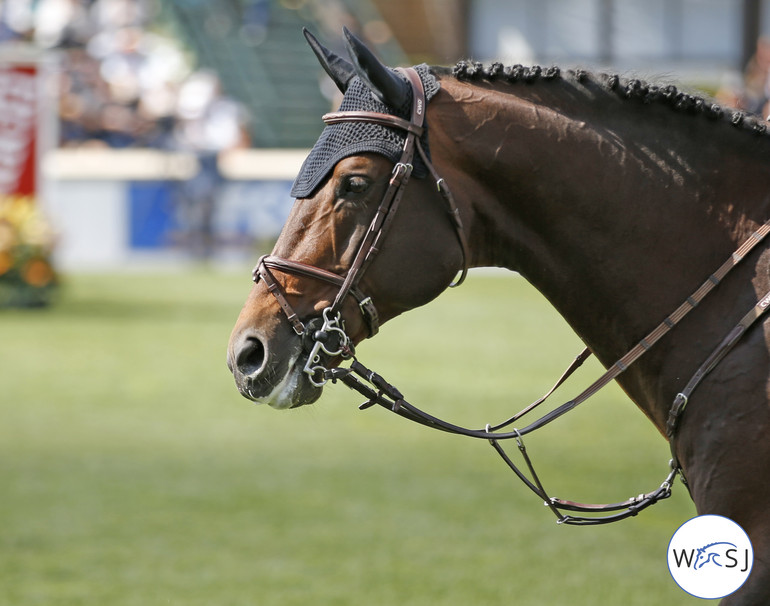 Photo © Jenny Abrahamsson for World of Showjumping.