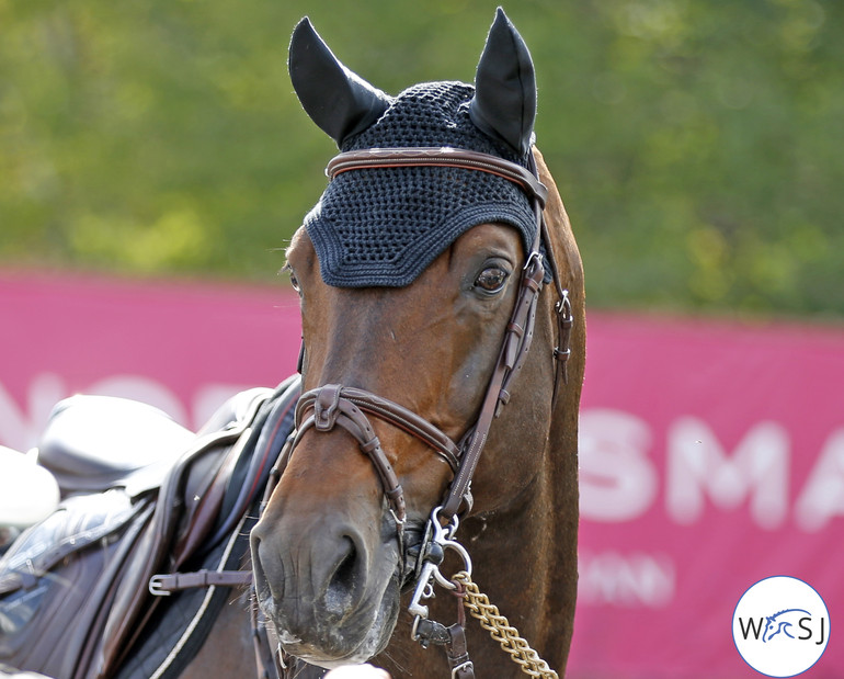 Photo © Jenny Abrahamsson for World of Showjumping.