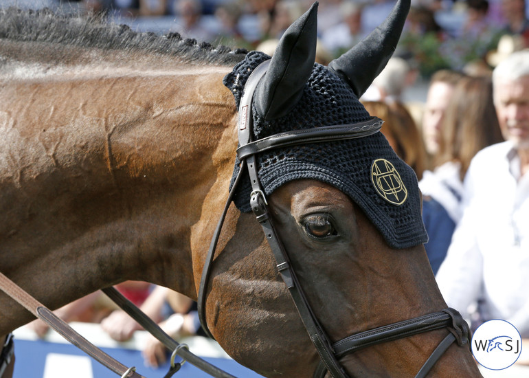 Photo © Jenny Abrahamsson for World of Showjumping.