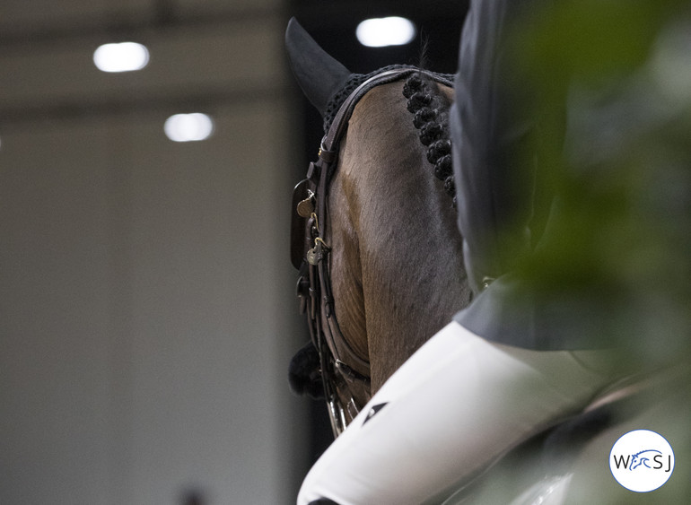 Photo © Jenny Abrahamsson for World of Showjumping