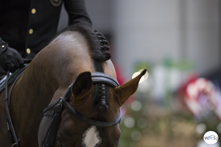 Photo © Jenny Abrahamsson for World of Showjumping