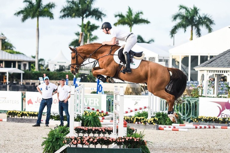 Photo © WEF Sport Horse Auction