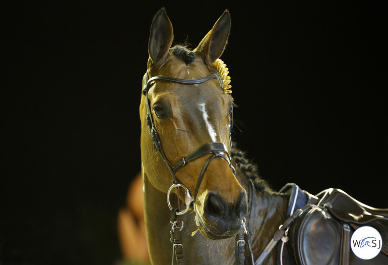 Photo © Jenny Abrahamsson for World of Showjumping.