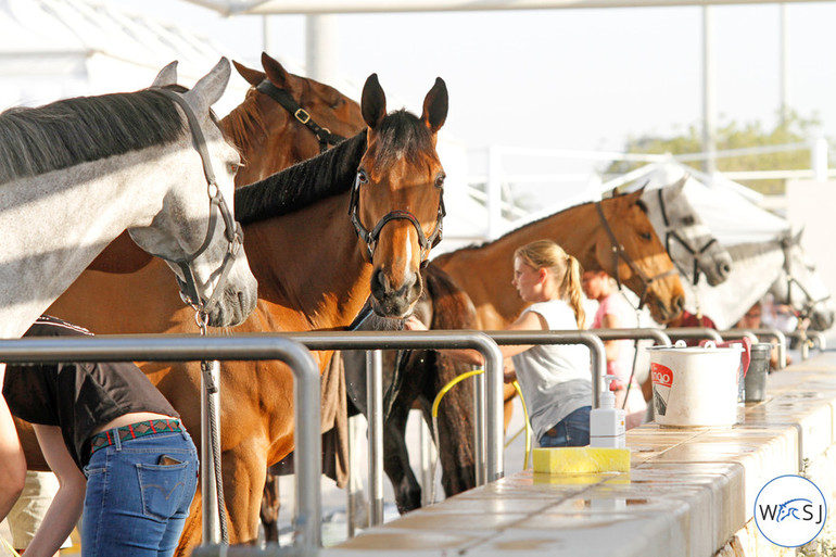 Photo © World of Showjumping