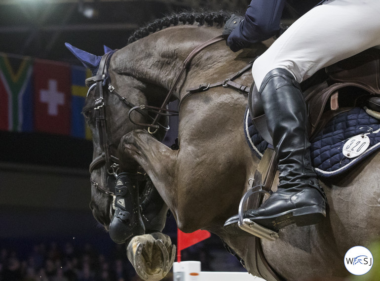 Photo © Jenny Abrahamsson for World of Showjumping. 