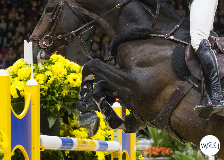 Photo © Jenny Abrahamsson for World of Showjumping