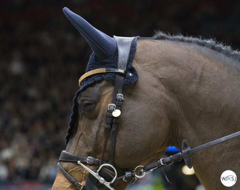 Photo © Jenny Abrahamsson for World of Showjumping