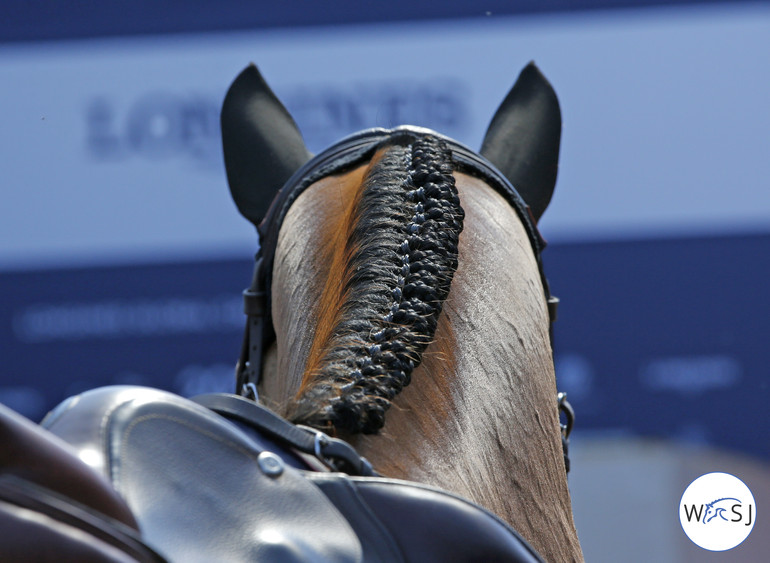 Photo © World of Showjumping by Jenny Abrahamsson. 