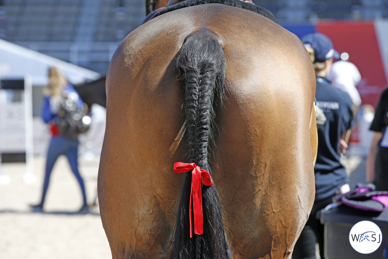 Photo © Jenny Abrahamsson for World of Showjumping