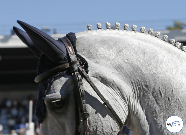 Photo © Jenny Abrahamsson for World of Showjumping