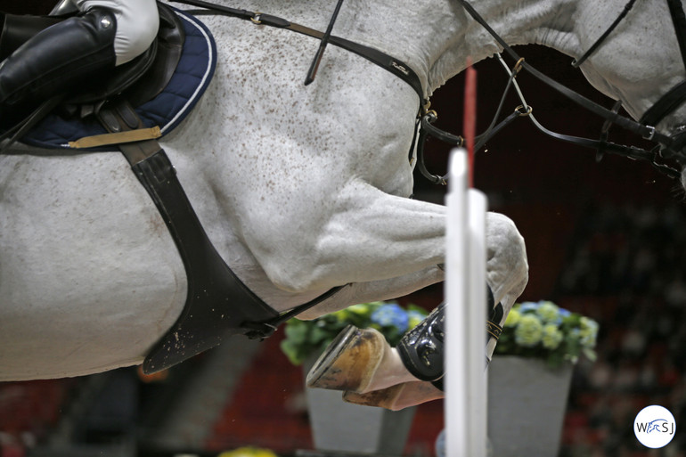 Photo © Jenny Abrahamsson for World of Showjumping