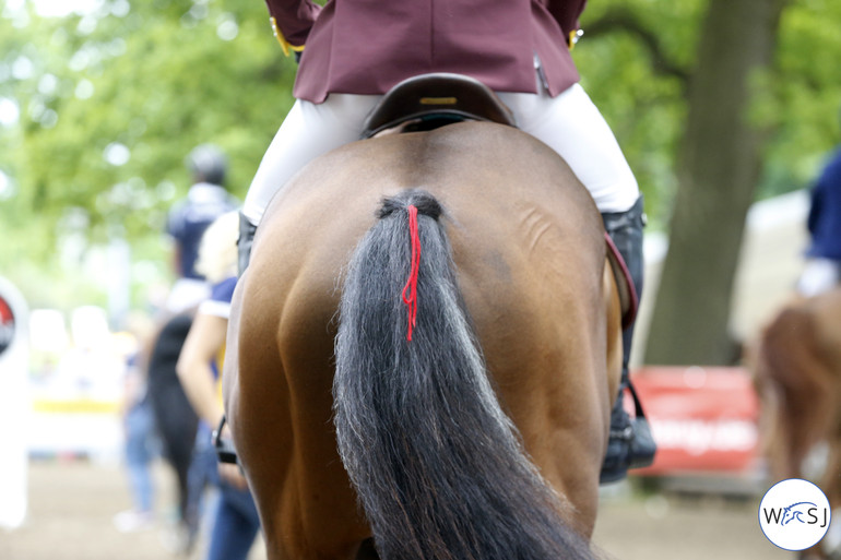 Photo © Jenny Abrahamsson for World of Showjumping