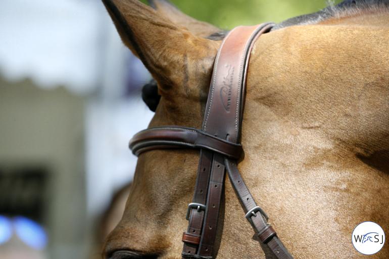 Photo © Jenny Abrahamsson for World of Showjumping.