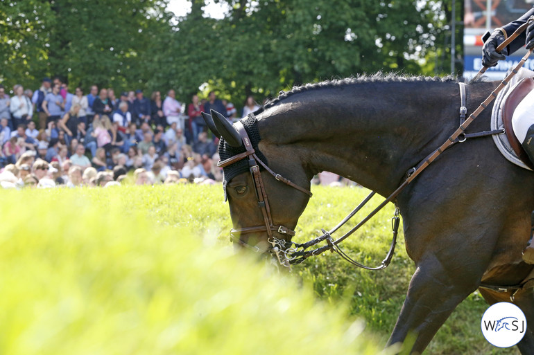 Photo © Jenny Abrahamsson for World of Showjumping