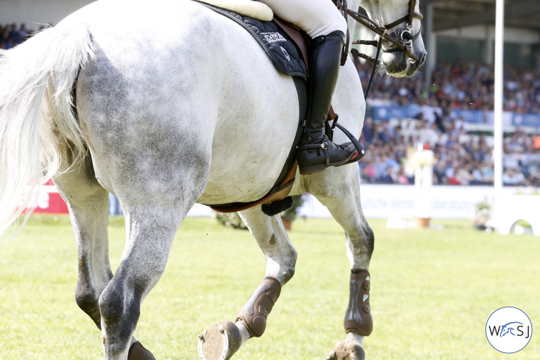 Photo © Jenny Abrahamsson for World of Showjumping