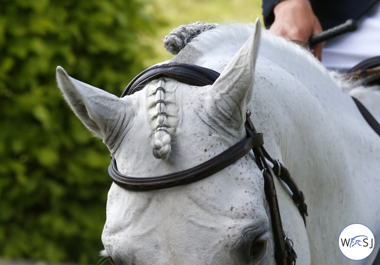 Photo © Jenny Abrahamsson for World of Showjumping.