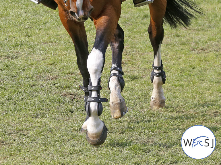 Photo © Jenny Abrahamsson for World of Showjumping.