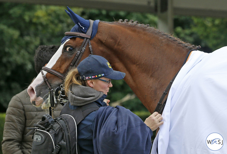 Photo © Jenny Abrahamsson for World of Showjumping.