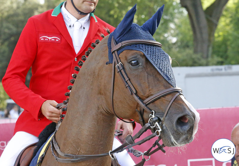 Photo © Jenny Abrahamsson for World of Showjumping.