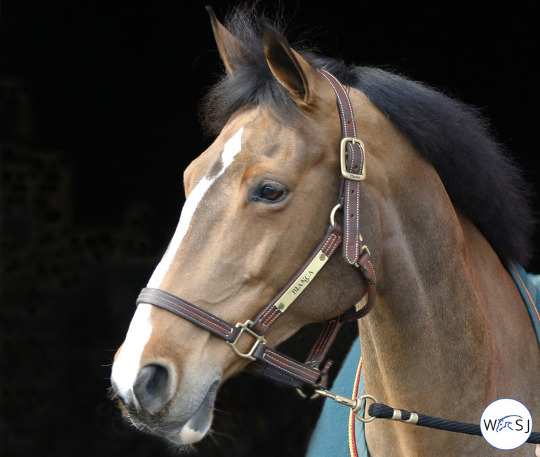 Photo © Jenny Abrahamsson for World of Showjumping.