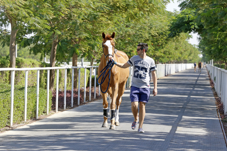 Photo © Jenny Abrahamsson for World of Showjumping.