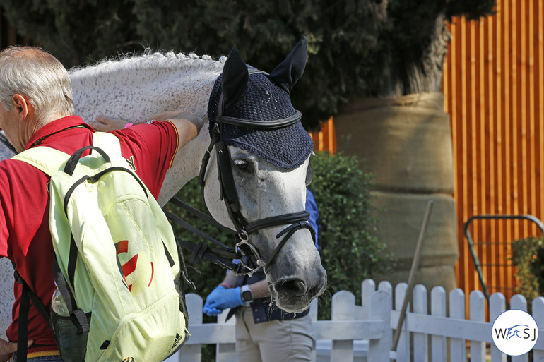 Photo © Jenny Abrahamsson for World of Showjumping.