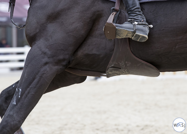 Photo © Jenny Abrahamsson for World of Showjumping