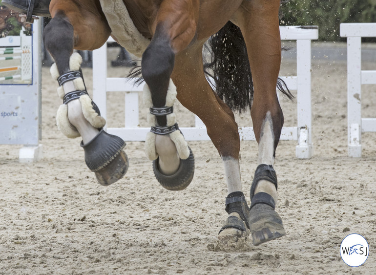 Photo © Jenny Abrahamsson for World of Showjumping.