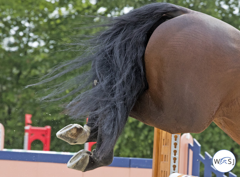 Photo © World of Showjumping