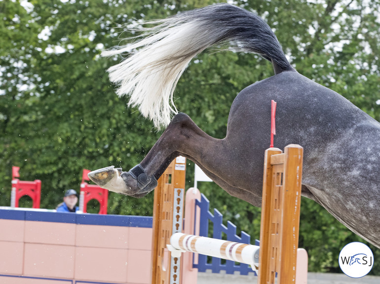 Photo © Jenny Abrahamsson for World of Showjumping