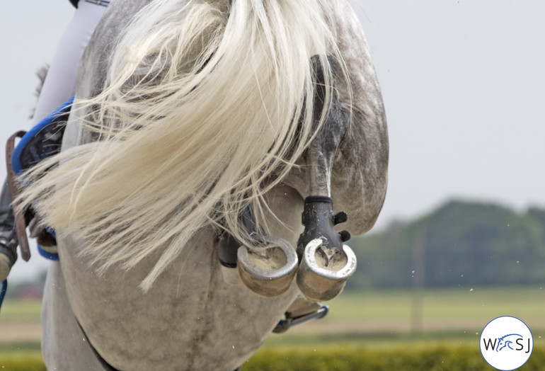 Photo © Jenny Abrahamsson for World of Showjumping