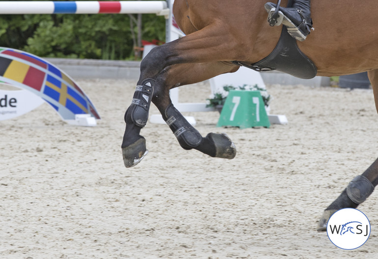 Photo © Jenny Abrahamsson for World of Showjumping.